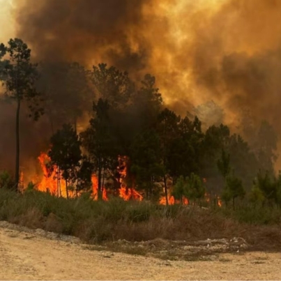 incendios-en-portugal-baten-record-de-emisiones-de-carbono-158634