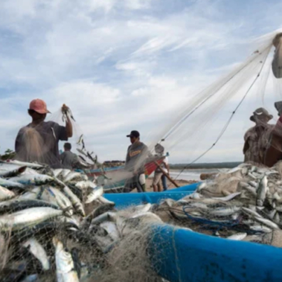 Exportacion-de-pescado-llega-a-38-paises-segun-ministro-Loyo