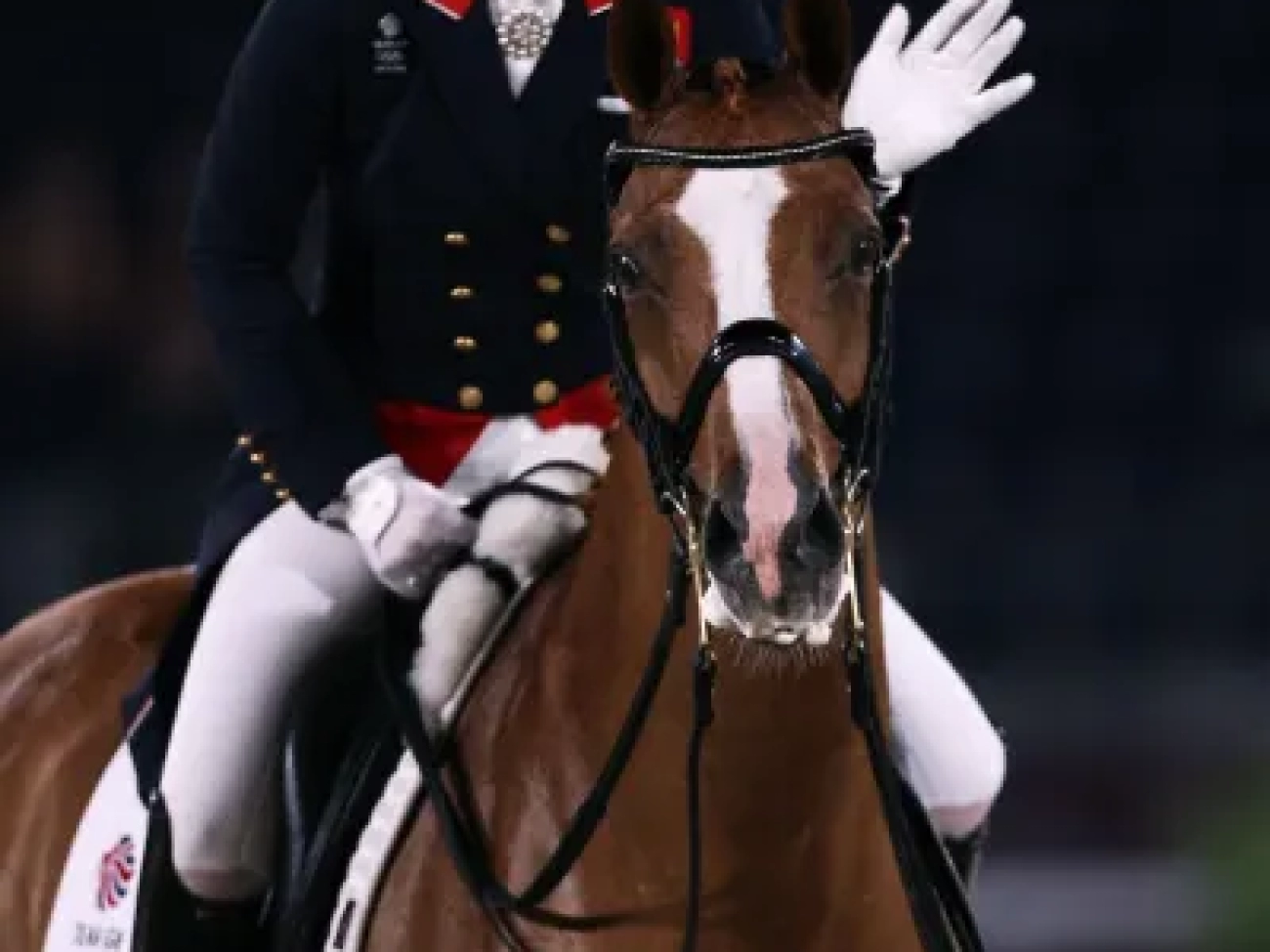 AFP__20241205__36PK7T3__v1__Preview__EquestrianThreeTimeOlympicDressageGoldMedallist