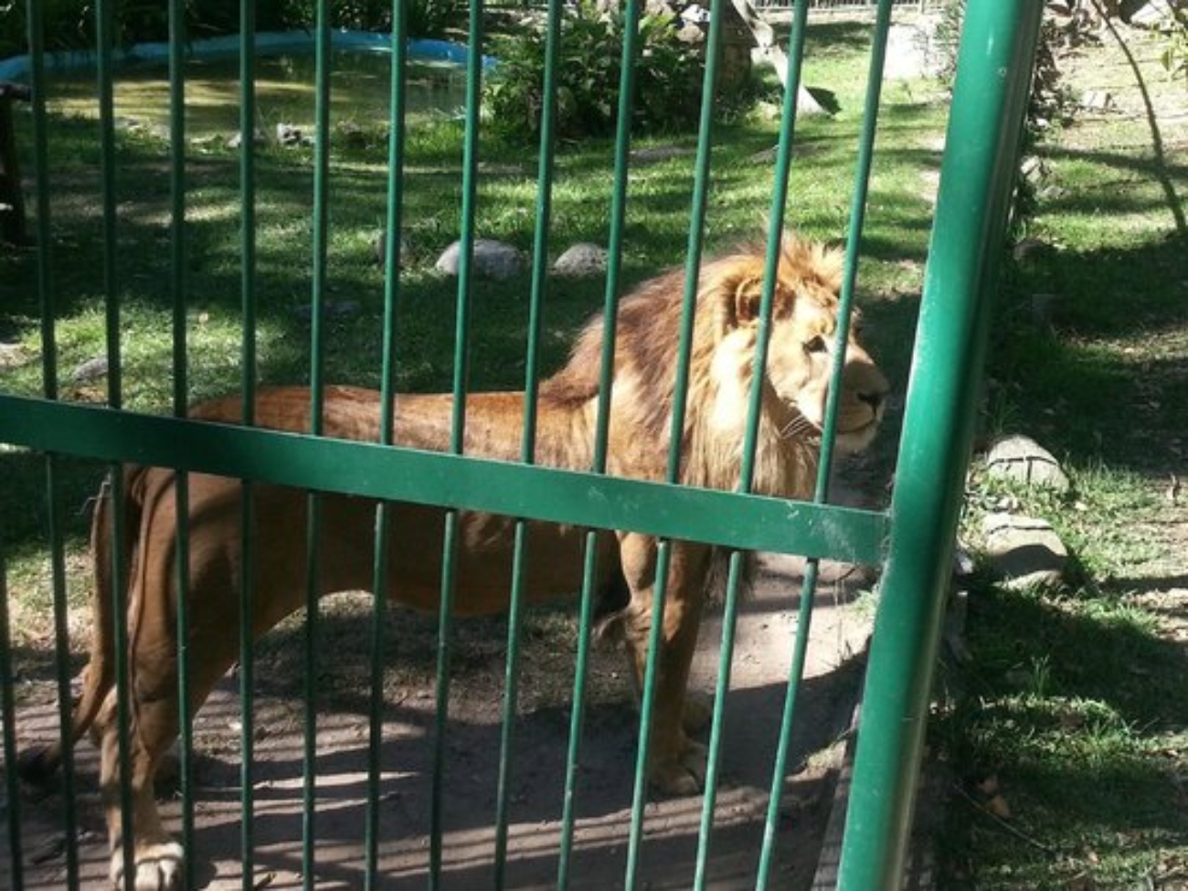 chorros-de-milla-zoo