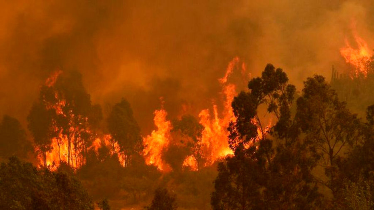 incendios-forestales-en-chile-36157