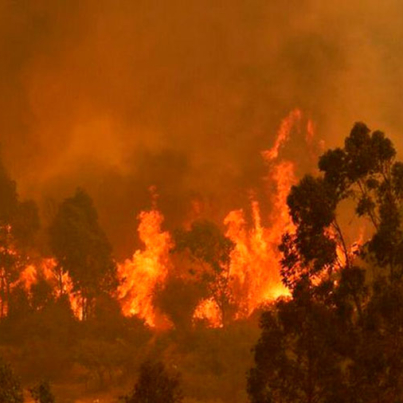 incendios-forestales-en-chile-36157