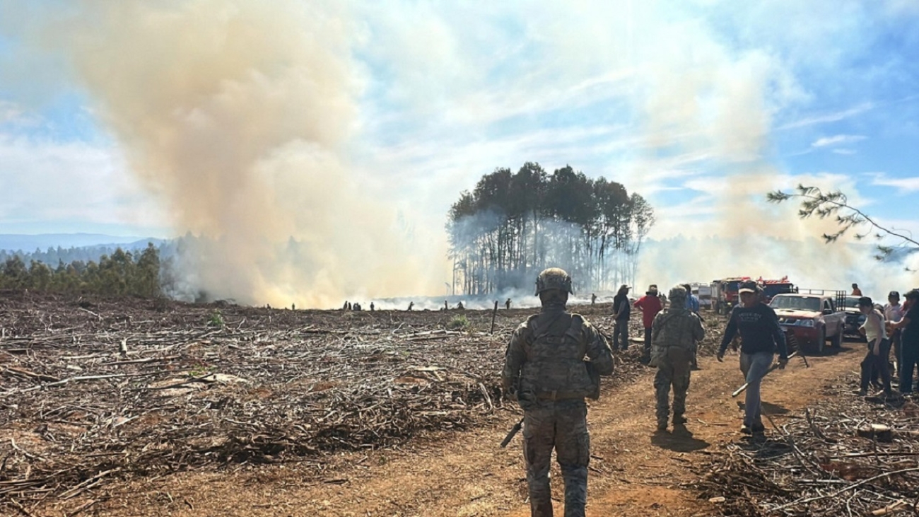 incendios-forestales-producto-de-una-ola-de-calor-que-azota-a-chile-168467