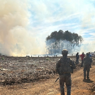 incendios-forestales-producto-de-una-ola-de-calor-que-azota-a-chile-168467