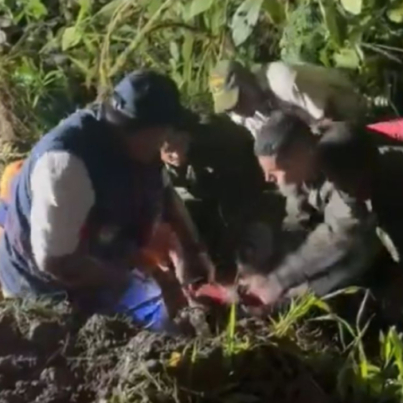 ocho-soldados-colombianos-mueren-en-un-accidente-de-carretera-en-el-suroeste-del-pais-36976