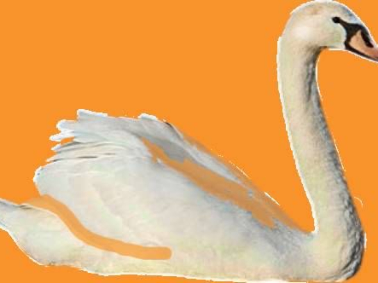 IMG-20250428-WA0003