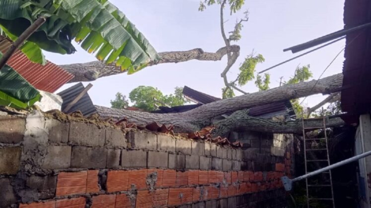 Casas-afectadas-por-arbol-caido-en-Maturin-747x420