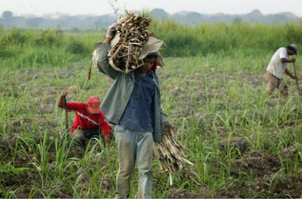 Fedeagro-747x420 (1)
