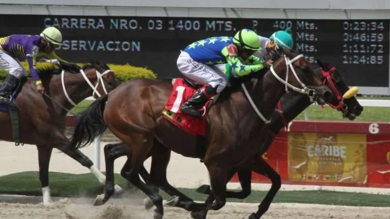 Lider-Hipico-768x576