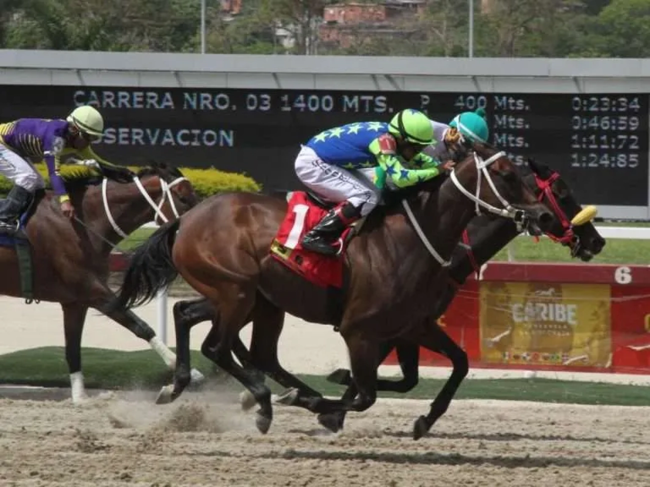 Lider-Hipico-768x576