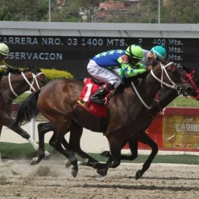 Lider-Hipico-768x576