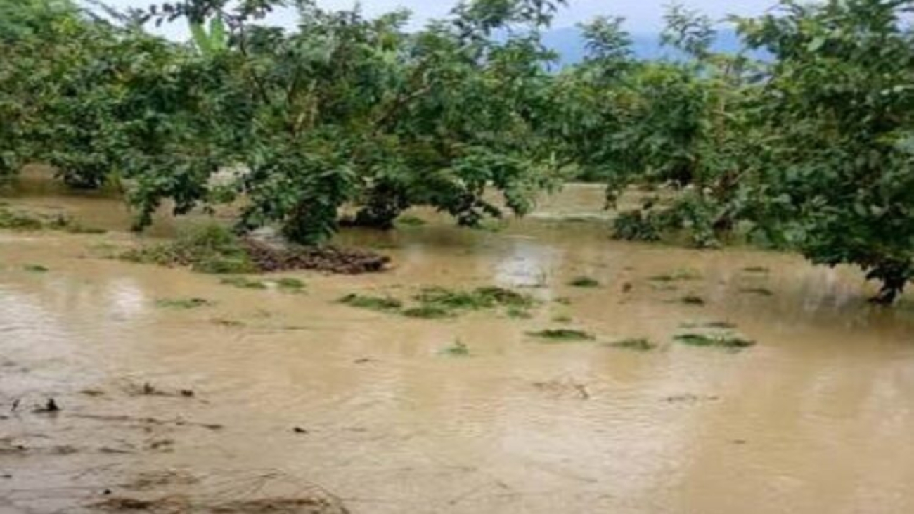 Lluvias-municipio-Sucre-estado-Zulia-747x420