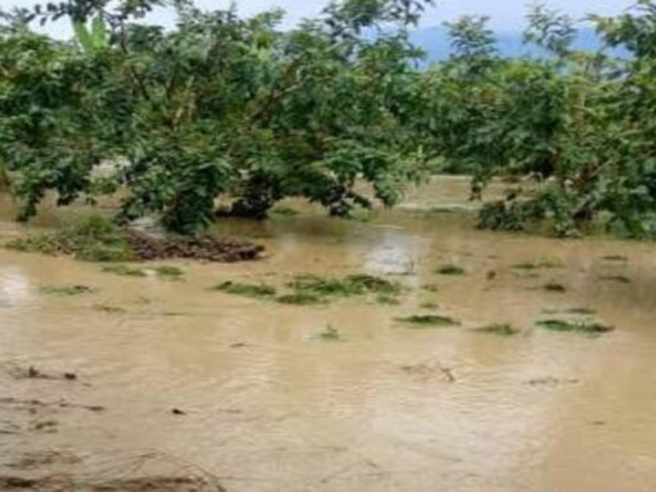 Lluvias-municipio-Sucre-estado-Zulia-747x420