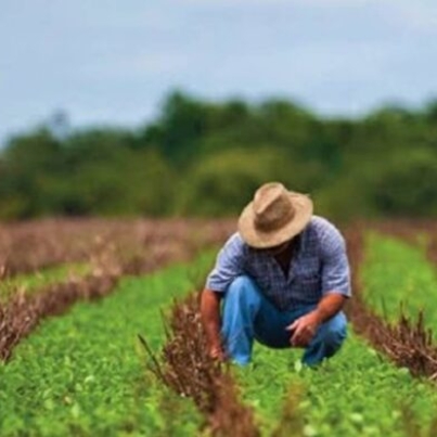 Suma-Puebla-487-mil-productoras-y-productores-agricolas-1-696x392