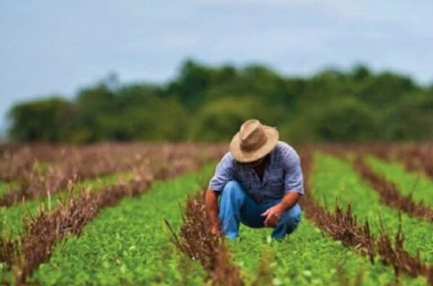 Suma-Puebla-487-mil-productoras-y-productores-agricolas-1-696x392