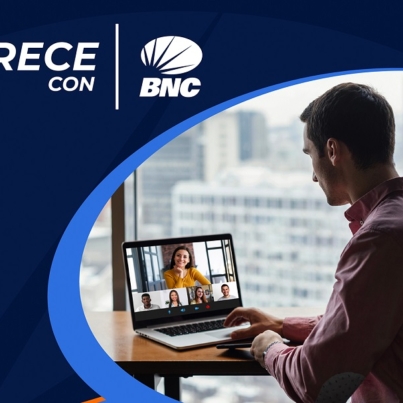 NOTA DE PRENSA - WEBINAR