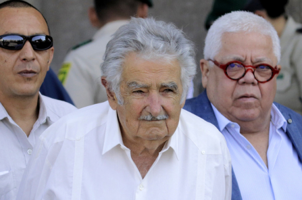 pepe-mujicajpeg-41298