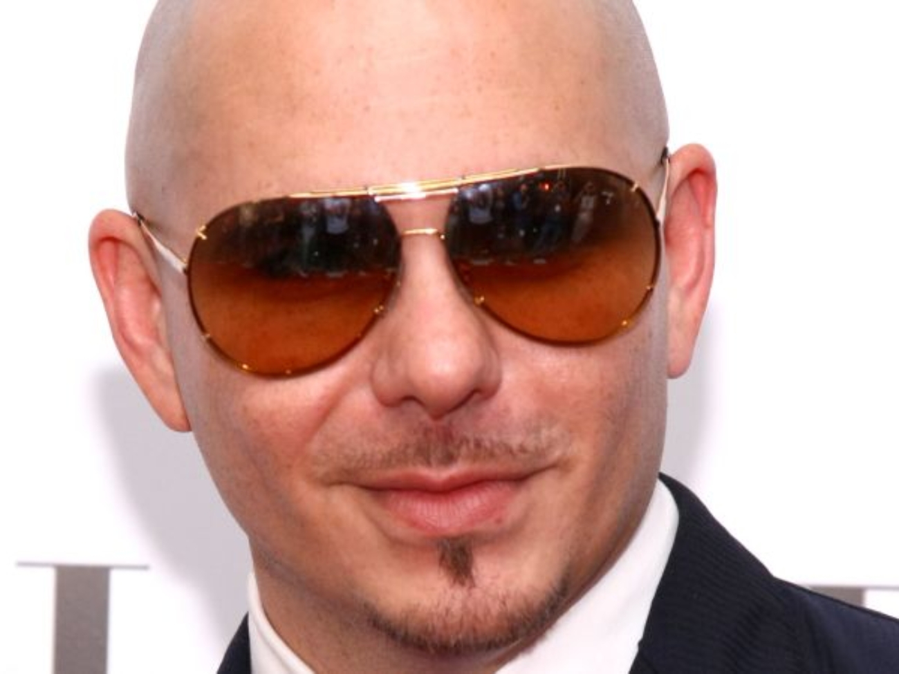 pitbull