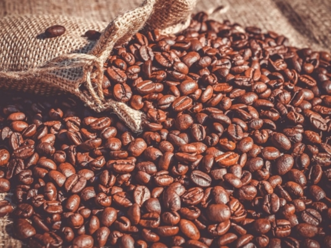 tsize_600x400_CafeQuintalProduccion