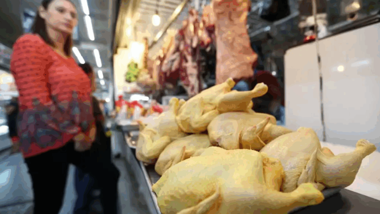 Pollo-gripe-aviar-precio