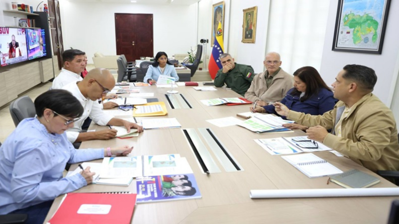 consejo-de-vicepresidentes-42905