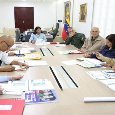 consejo-de-vicepresidentes-42905