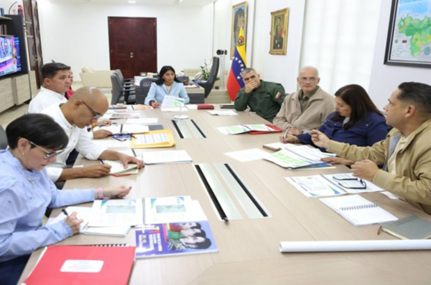 consejo-de-vicepresidentes-42905