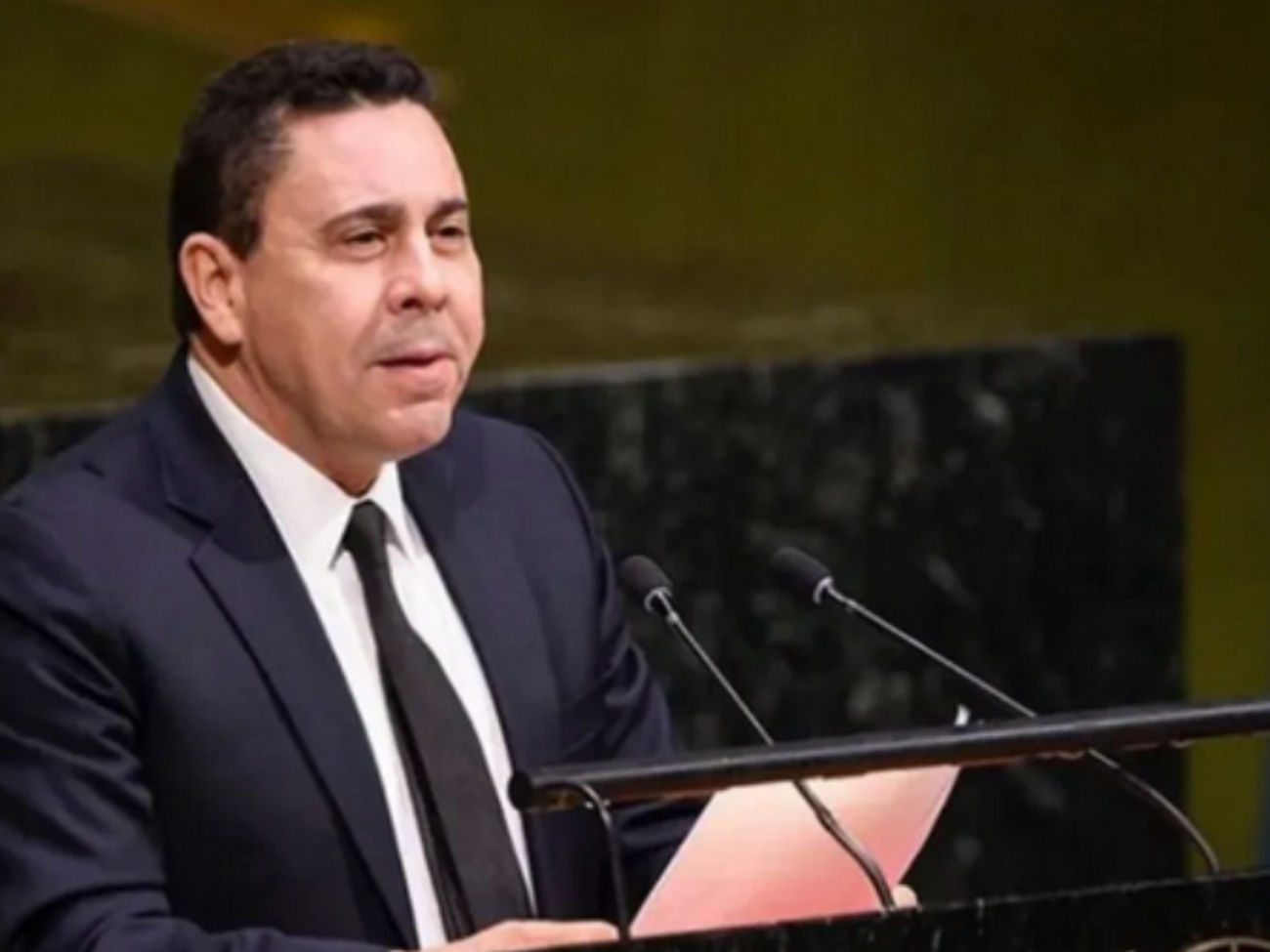 cortesia-samuel-moncada-vicepresidente-de-la-asamblea-general-de-la-onu-42566