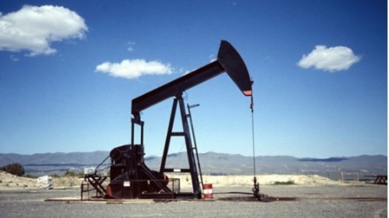 Imagen 13-1-26 a las 3.14 p. m.