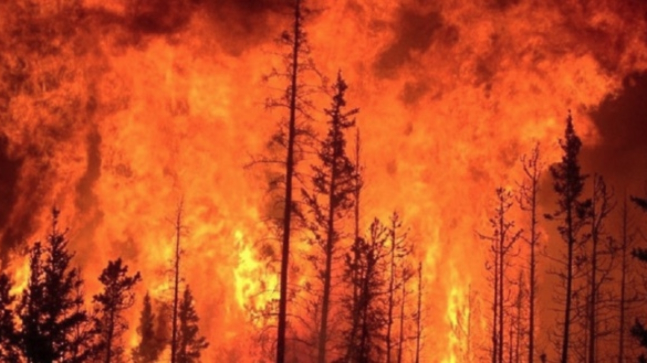 Imagen 18-1-26 a las 12.11 p. m.