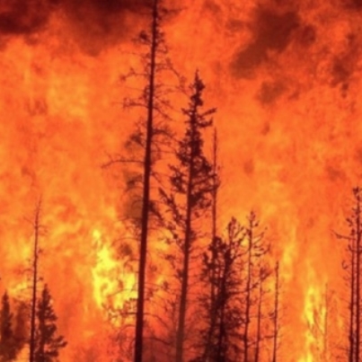 Imagen 18-1-26 a las 12.11 p. m.