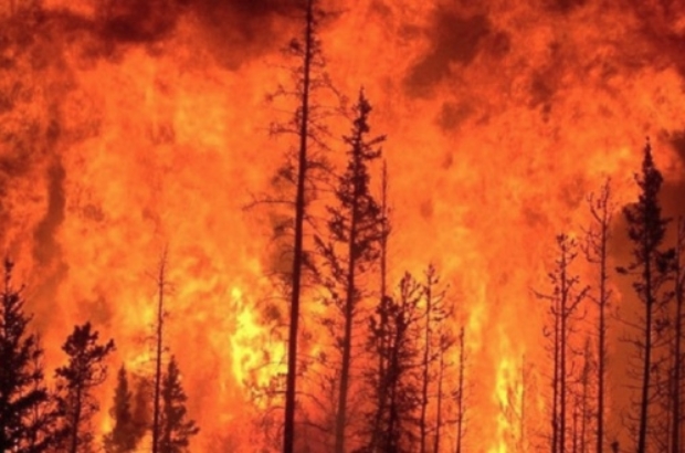 Imagen 18-1-26 a las 12.11 p. m.