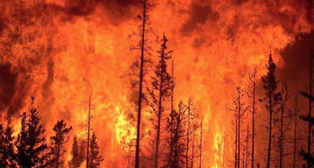 Imagen 18-1-26 a las 12.11 p. m.