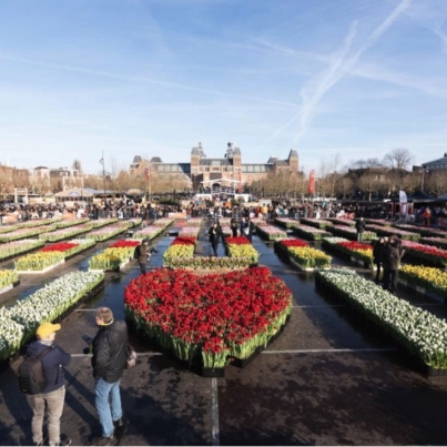 Imagen 19-1-26 a las 5.52 p. m.