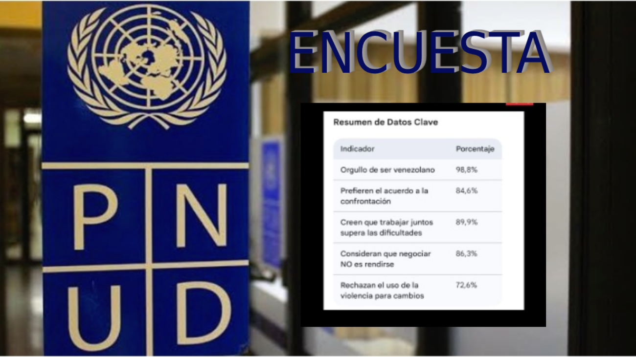ENCUESTA PNUD
