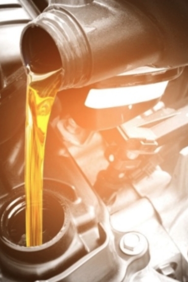 Imagen 13-2-26 a las 12.08 p. m.