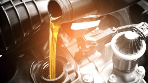 Imagen 13-2-26 a las 12.08 p. m.