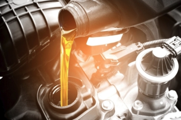 Imagen 13-2-26 a las 12.08 p. m.