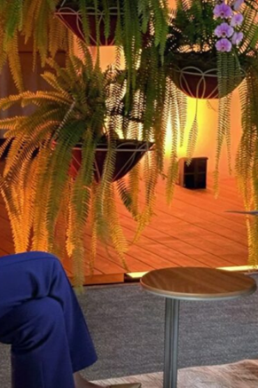 rodriguez-afirmo-sobre-el-retorno-de-machado-al-pais-tendra-que-rendir-cuentas-ante-venezuela-56141