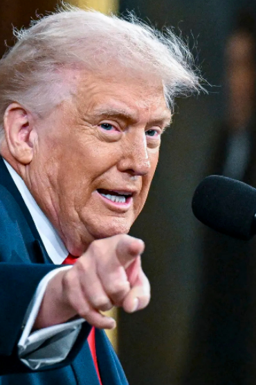 formato-gv-13png-57033