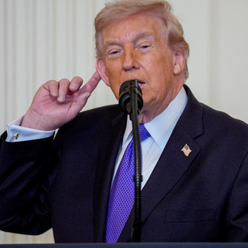 formato-gv-7png-57016