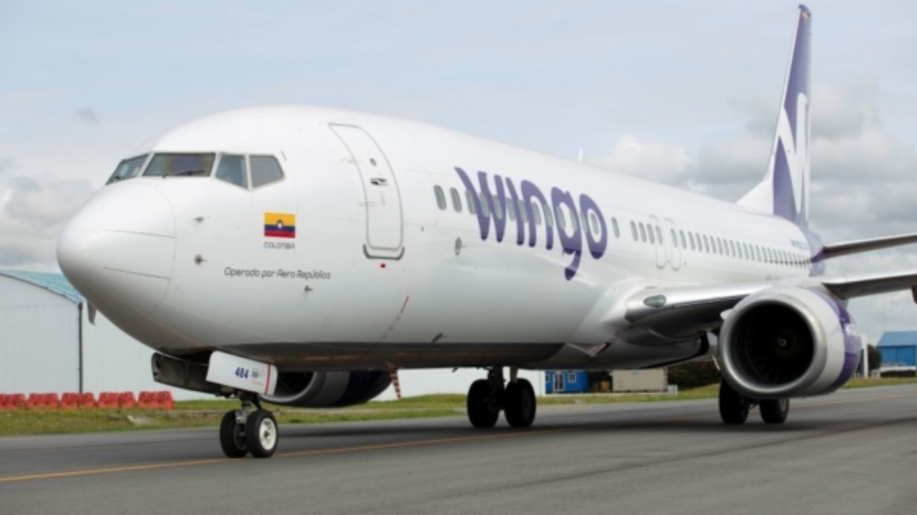 tsize_600x400_Wingo-3