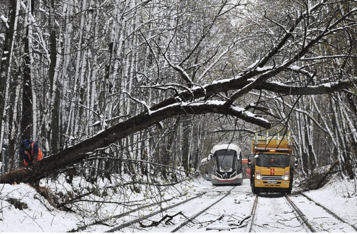 Imagen 27-4-26 a las 8.03 a. m.