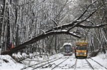 Imagen 27-4-26 a las 8.03 a. m.