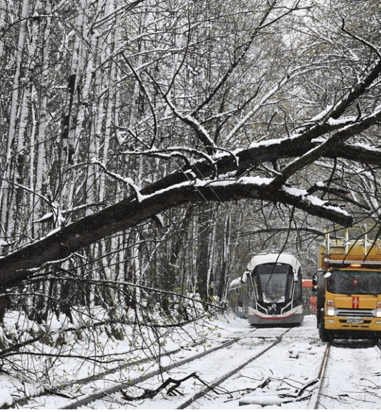 Imagen 27-4-26 a las 8.03 a. m.