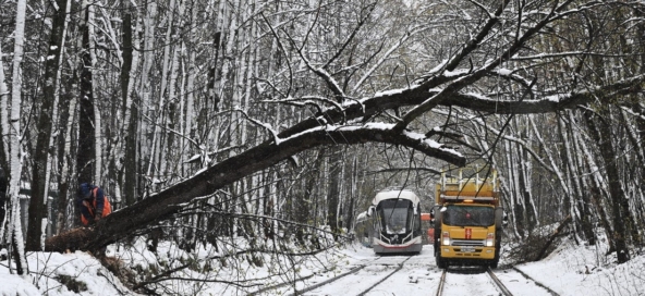 Imagen 27-4-26 a las 8.03 a. m.