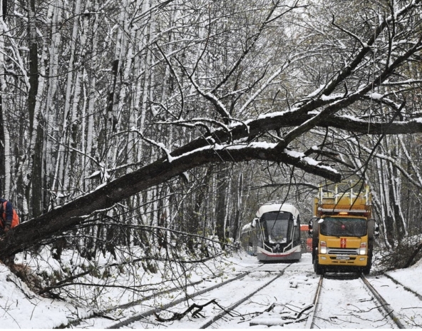 Imagen 27-4-26 a las 8.03 a. m.