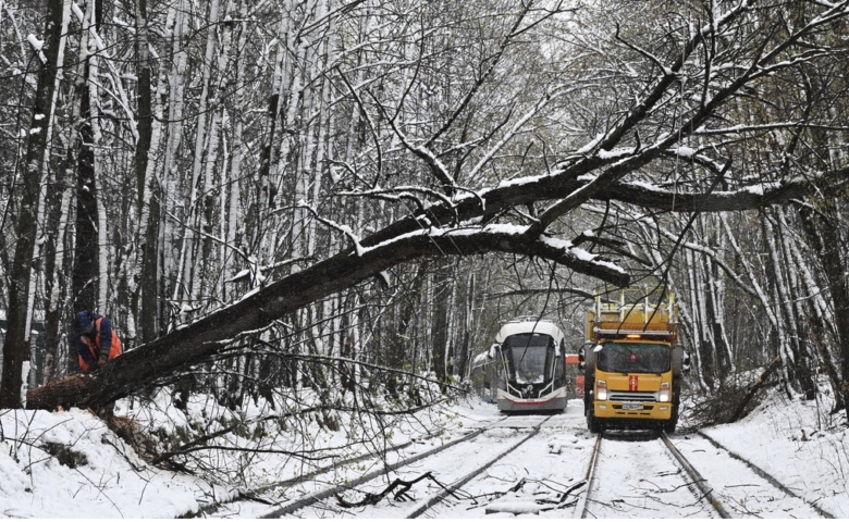 Imagen 27-4-26 a las 8.03 a. m.