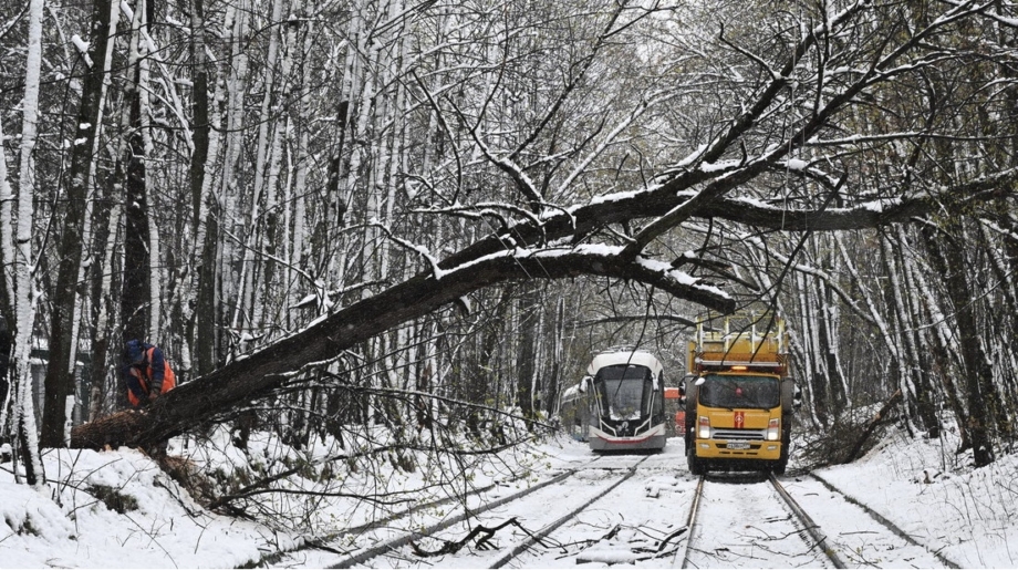 Imagen 27-4-26 a las 8.03 a. m.