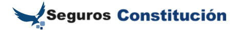 Seguro Constitucion Banner 468x60